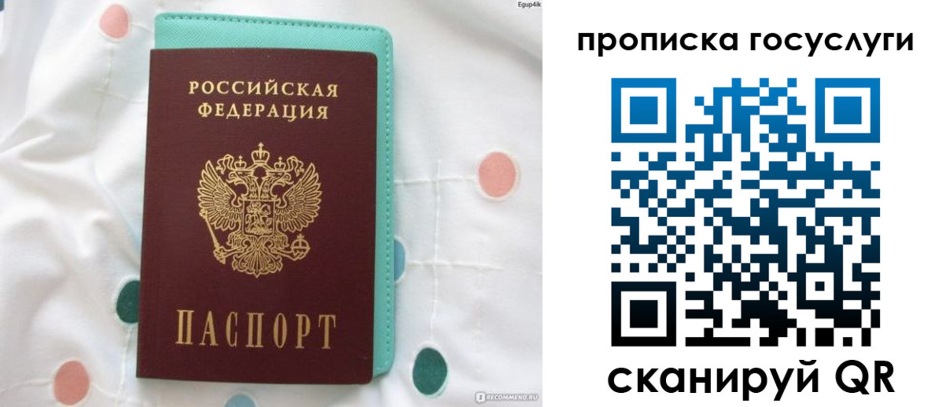 прописка поиск в Михайловке